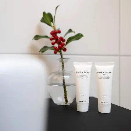 Haus4zimmer - Luxus Mit Blick Ueber Den Bodensee - Mit Garage * Bregenz